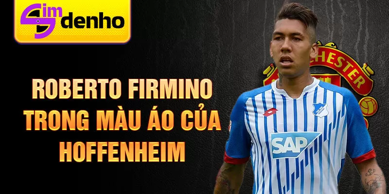 Roberto Firmino trong màu áo của Hoffenheim