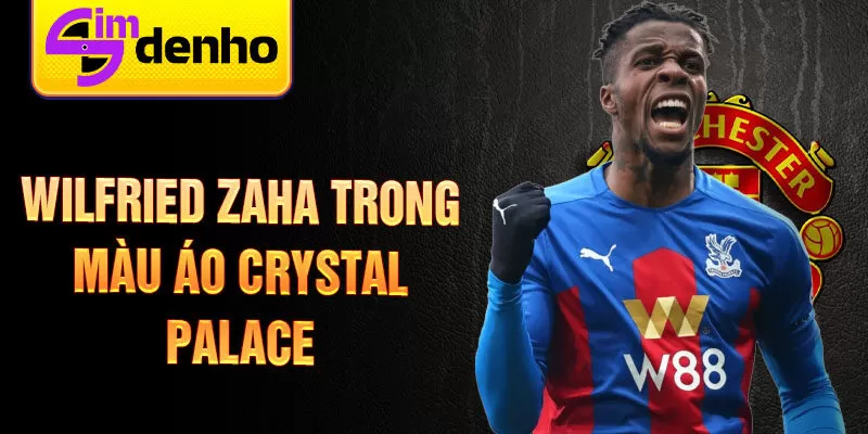 Wilfried Zaha trong màu áo Crystal Palace