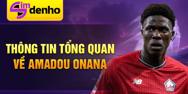 Thông tin tổng quan về Amadou Onana