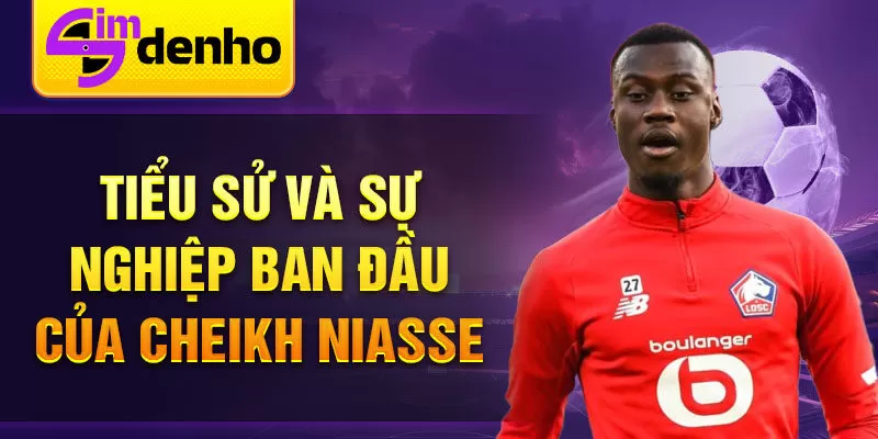 Tiểu sử và sự nghiệp ban đầu của cheikh niasse