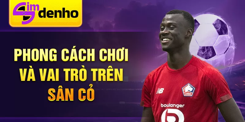 Phong cách chơi và vai trò trên sân cỏ