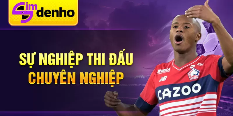 Sự nghiệp thi đấu chuyên nghiệp