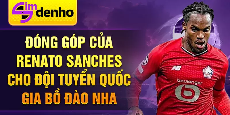 Đóng góp của Renato Sanches cho đội tuyển quốc gia Bồ Đào Nha