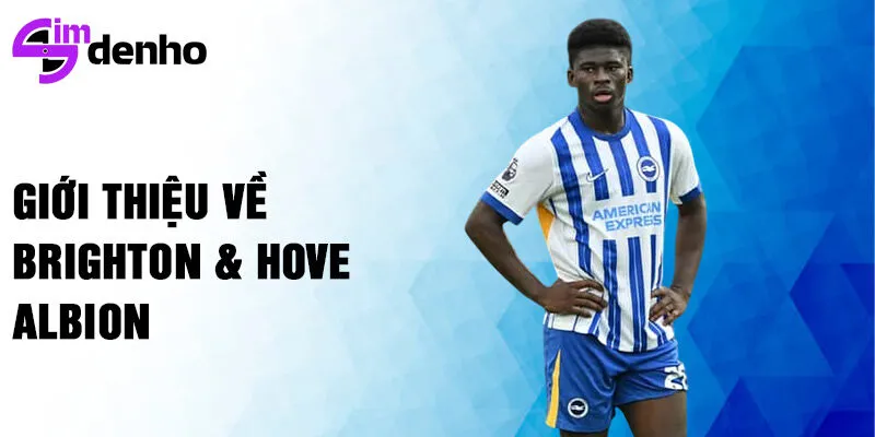 Giới thiệu về brighton & hove albion