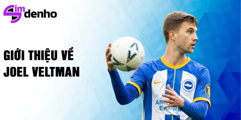 Giới thiệu về Joel Veltman