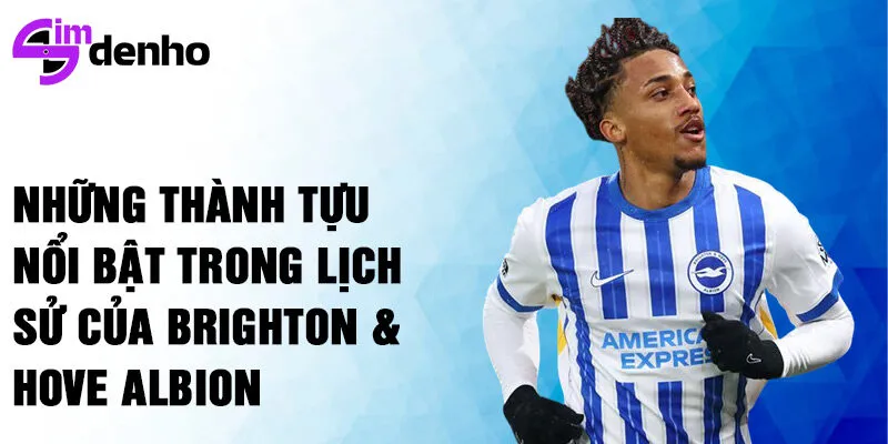 Những thành tựu nổi bật trong lịch sử của Brighton & Hove Albion