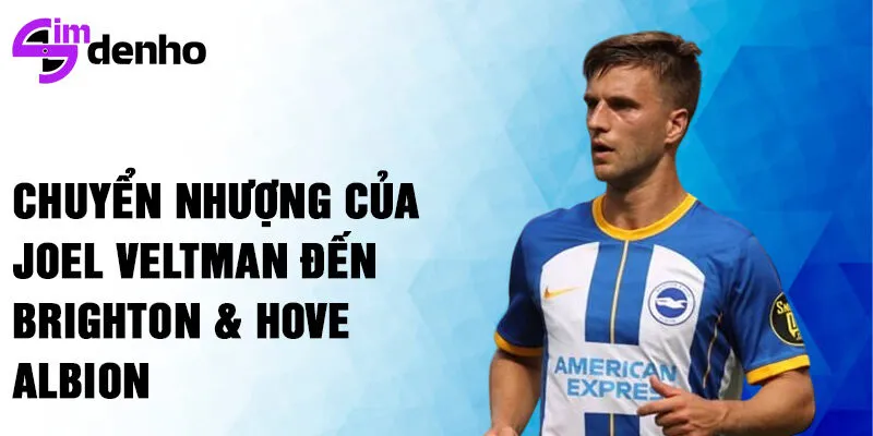 Chuyển nhượng của Joel Veltman đến Brighton  & Hove Albion