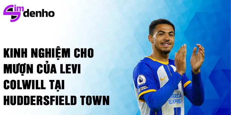 Kinh nghiệm cho mượn của Levi Colwill tại Huddersfield Town