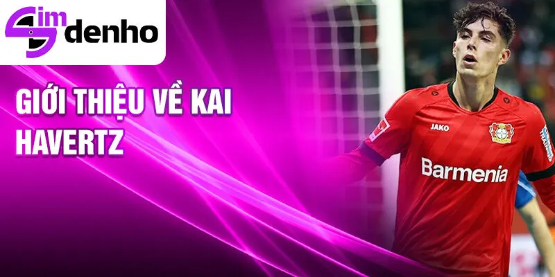 Giới thiệu về kai havertz
