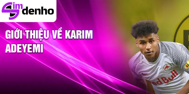 Giới thiệu về karim adeyemi
