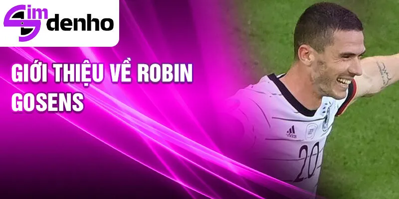 Robin Gosens - Từ cậu bé mơ ước đến ngôi sao thế giới 1 Giới thiệu về Robin Gosens