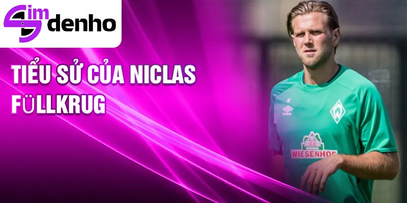 Tiểu sử của niclas füllkrug