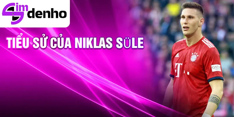 Niklas Süle - Từ cậu bé đam mê bóng đá đến ngôi sao sân cỏ 1 Tiểu sử của Niklas Süle