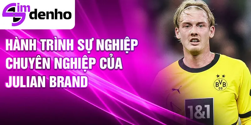 Julian Brandt - Từ ngôi sao trẻ đến tài năng hàng đầu 2 Hành trình sự nghiệp chuyên nghiệp của Julian Brand
