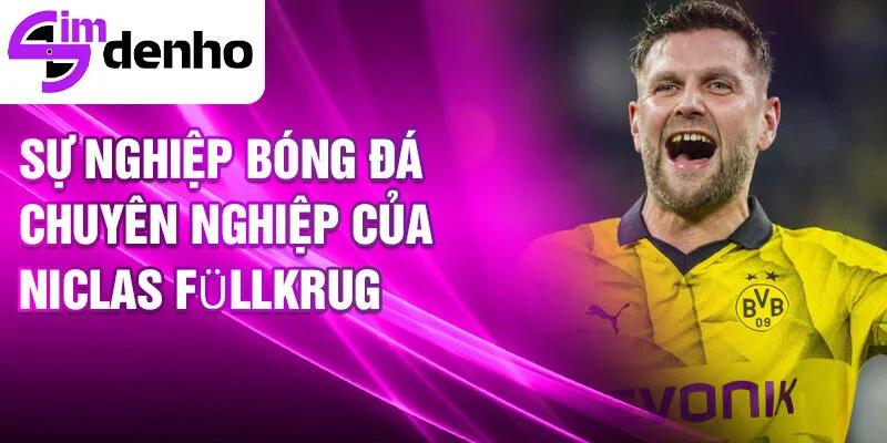 Niclas Füllkrug - Từ Một Tài Năng Trẻ Đến Ngôi Sao Bóng Đá 2 Sự nghiệp bóng đá chuyên nghiệp của Niclas Füllkrug
