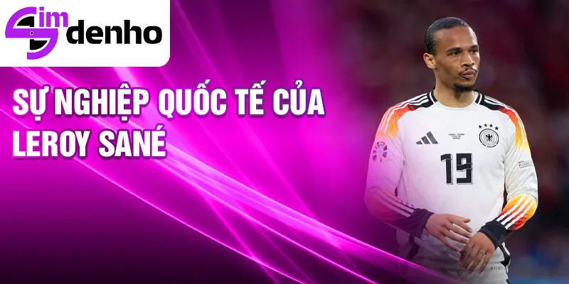 Leroy Sané - Từ cậu bé đến ngôi sao bóng đá châu Âu 3 Sự nghiệp quốc tế của Leroy Sané