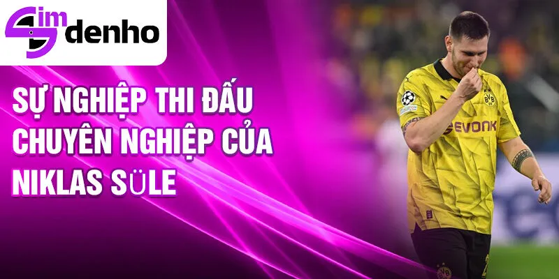 Niklas Süle - Từ cậu bé đam mê bóng đá đến ngôi sao sân cỏ 3 Sự nghiệp thi đấu chuyên nghiệp của Niklas Süle